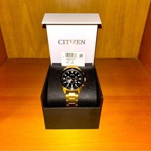 Citizen WR 50 Quartz Men’s Watch Gold Band and Case